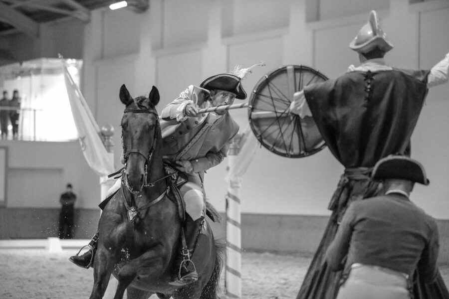 Lisbon: Morning of Equestrian Art with Lusitano Horses - Photo rules, comfort tips, and small logistics that save your day