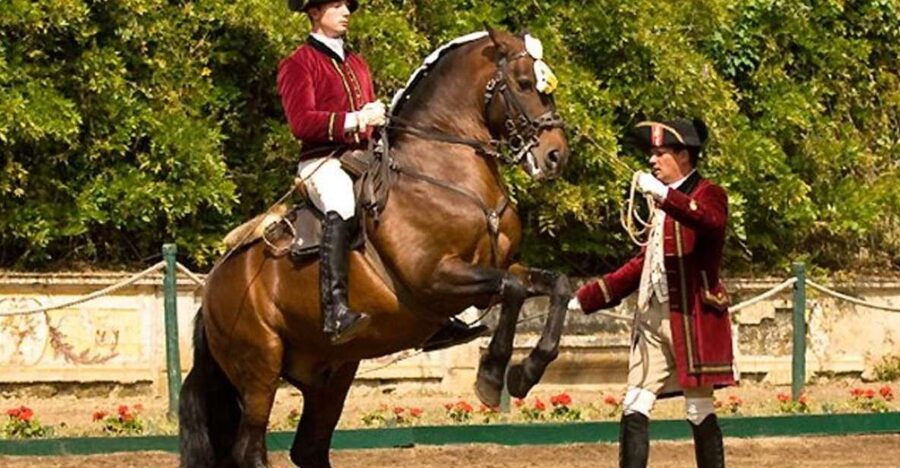 Lisbon: Morning of Equestrian Art with Lusitano Horses - Morning schedule, timing sweet spot, and how the session flows