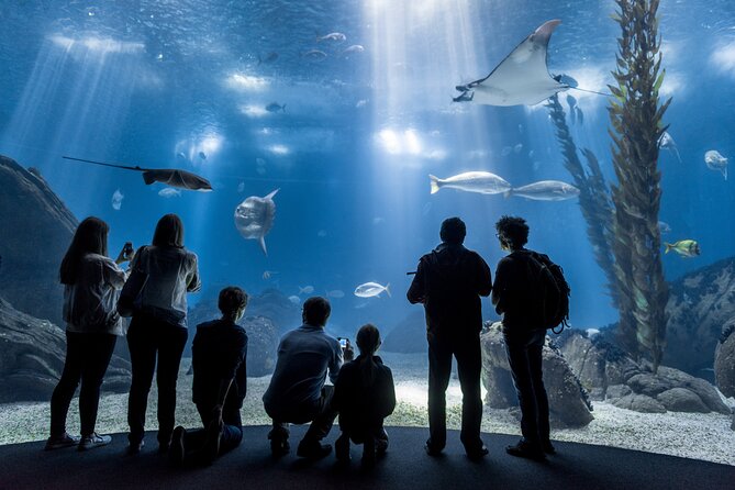 Lisbon Oceanario: Aquarium Entrance Ticket - Lisbon Oceanarium at Parque das Nacoes, why it feels like a real ocean stop
