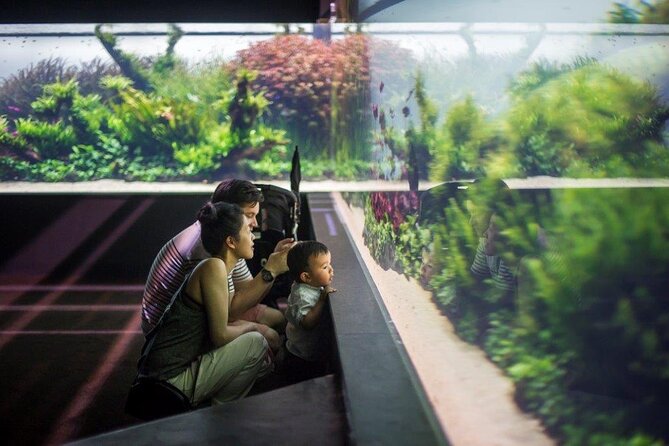 Lisbon Oceanario: Aquarium Entrance Ticket - Price and logistics: is $30.17 per person worth it?