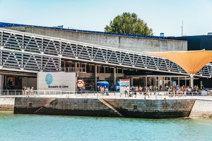 Lisbon: Oceanário de Lisboa Entrance Ticket - Guided tours at extra cost: when they add real value