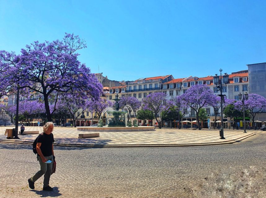 Lisbon: Old Town TukTuk Tour and Scenic Viewpoints in Alfama - Graça and the National Pantheon area: viewpoints plus neighborhood texture