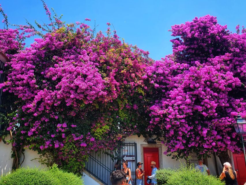 Lisbon: Old Town TukTuk Tour and Scenic Viewpoints in Alfama - Chafariz d’El-Rei and the Pink Street: Lisbon’s mix of charm and character