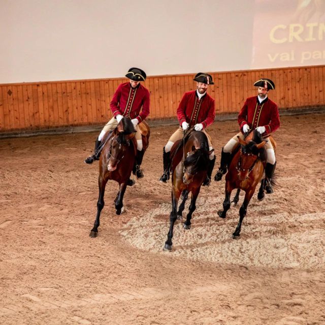 Lisbon: Portuguese Riding School Trainig with Lusitano Horse - Morning Lusitano training in Lisbon, what you actually see