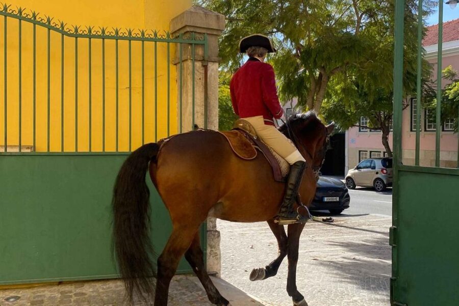 Lisbon: Portuguese Riding School Trainig with Lusitano Horse - Rehearsals in the Nora Patio, 18th-century court atmosphere without the guesswork