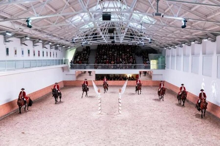 Lisbon: Portuguese Riding School Trainig with Lusitano Horse - How Equestrian Art training becomes choreography