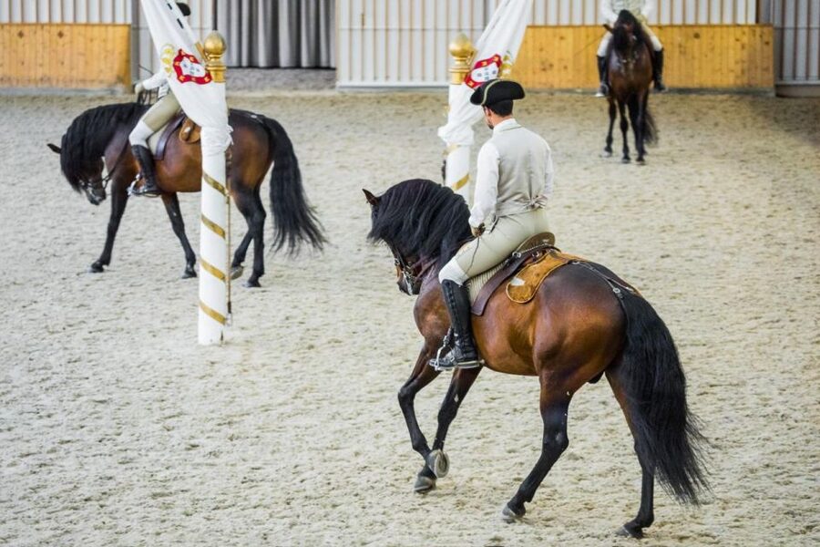 Lisbon: Portuguese Riding School Trainig with Lusitano Horse - Audio guide that actually helps during stable time