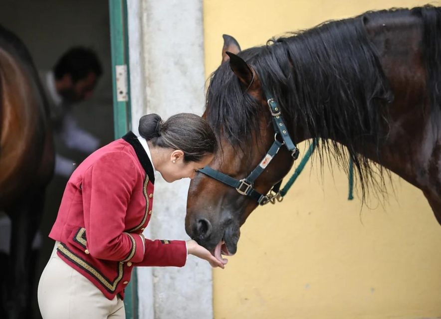 Lisbon: Portuguese Riding School Trainig with Lusitano Horse - Should you book this Portuguese Riding School training in Lisbon?
