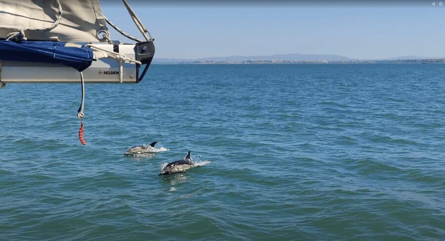 Lisbon: Private Boutique Boat Tour – Sail in Style - Educar à Vela: the solidarity twist that adds meaning to your cruise
