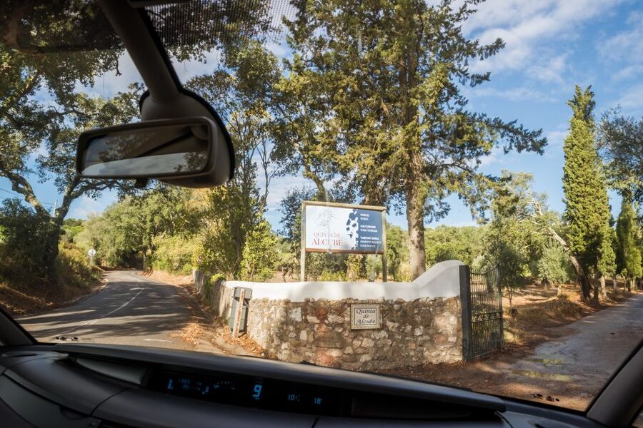 Lisbon Private Setúbal Region Wine Tasting Tour - Key Things I’d Put on Your Must-Know List