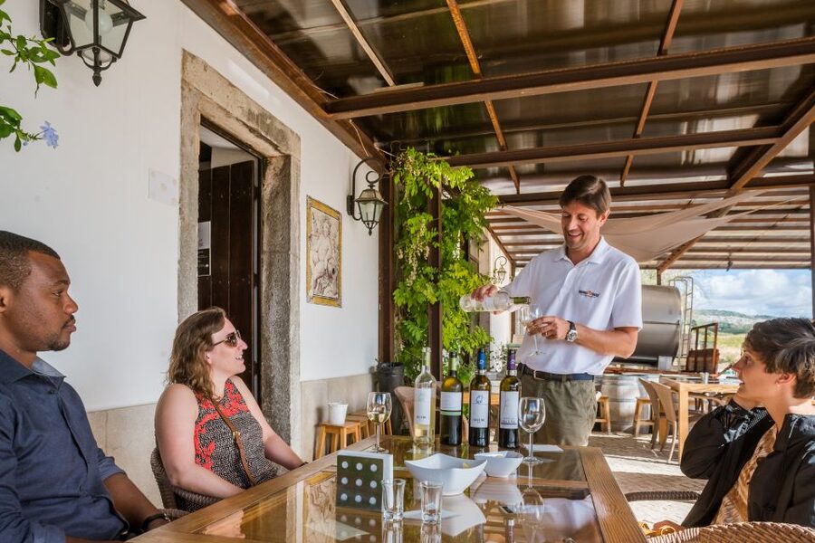 Lisbon Private Setúbal Region Wine Tasting Tour - Setúbal Beats a Typical Lisbon Day Trip for Wine Lovers