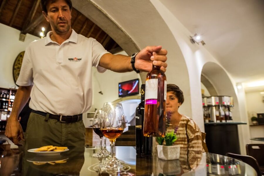 Lisbon Private Setúbal Region Wine Tasting Tour - José Maria da Fonseca, the 1834 Anchor You’ll Always Find