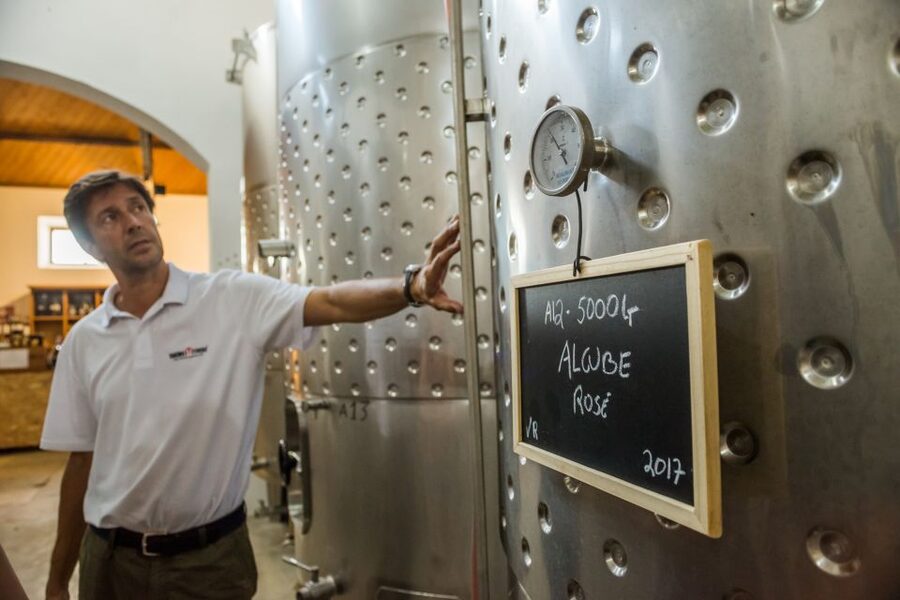 Lisbon Private Setúbal Region Wine Tasting Tour - The Setúbal Regional Mother House: Compare 24 Wineries in One Place