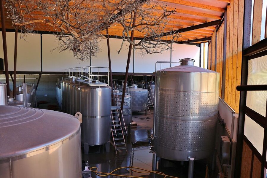 Lisbon Private Setúbal Region Wine Tasting Tour - Palmela and Adega Assis Lobo: See Production in a Local Rhythm