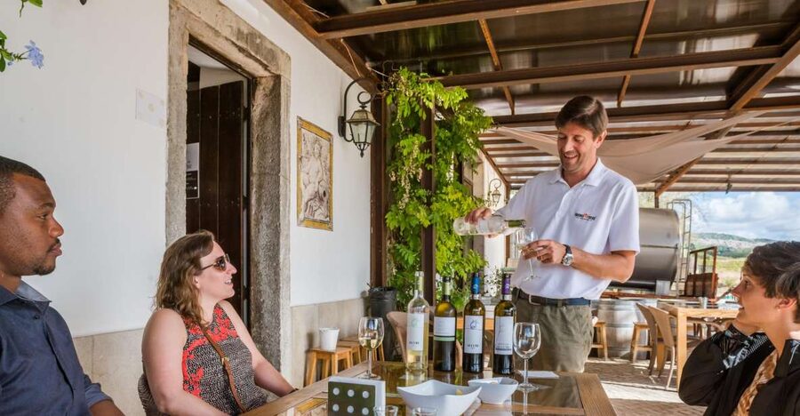 Lisbon Private Setúbal Region Wine Tasting Tour - Two Options: 3 Wineries with Cheese and Tastings, or 2 Wineries with a Full Palmela Lunch