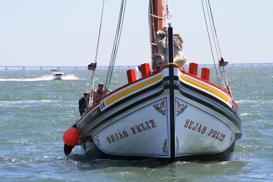 Lisbon: River Tagus Sightseeing Cruise in Traditional Vessel - Belém Hits: Jerónimos and Belém Tower Without the Day Trip Stress