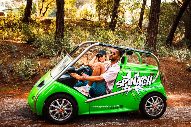 Lisbon Self-Drive Sightseeing Tour in an Electric Car - Value and price: $36.20 per person, or per car