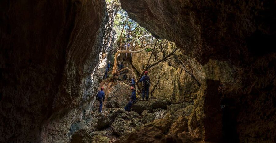Lisbon: Setubal Arrábida Natural Park Adventure Circuit - Key highlights that matter (and why)