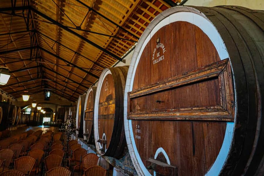 Lisbon: Sintra, Coast and Wine Small-Group Day Tour - Colares wine estate in Sintra area: how wine becomes a story you can taste