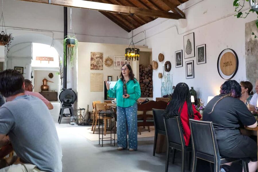 Lisbon: Sintra, Coast and Wine Small-Group Day Tour - Price and value for a $90 small-group day