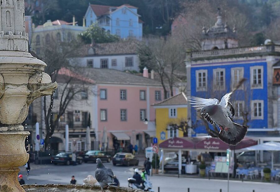 Lisbon: Sintra, Pena Palace, Quinta Regaleira, Cascais Tour - Why this Sintra and Cascais day trip feels more than a checklist