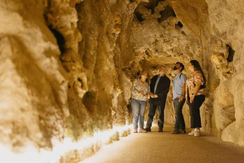 Lisbon: Sintra Tour with Optional Regaleira & Pena Gardens - Pena Palace Gardens and Optional Palace Interior: Fairy-Tale Grounds with Choice