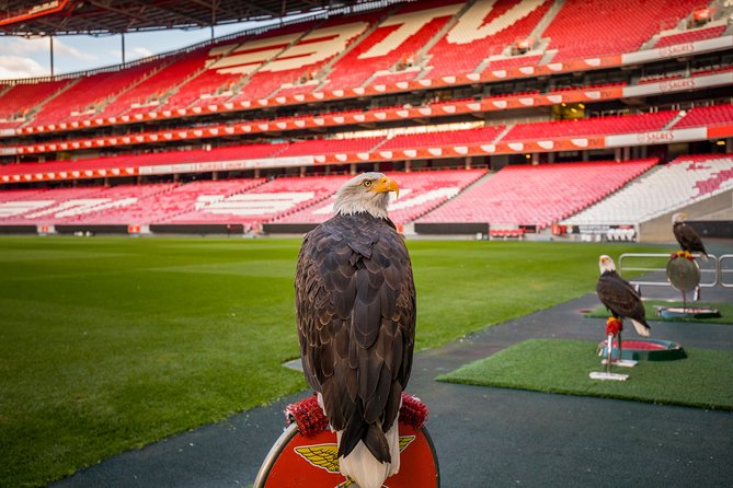 Lisbon SL Benfica Stadium & Museum Tour with Scarf - Museu Benfica - Cosme Damião: 29 Areas, QR Codes, and Trophy Pride