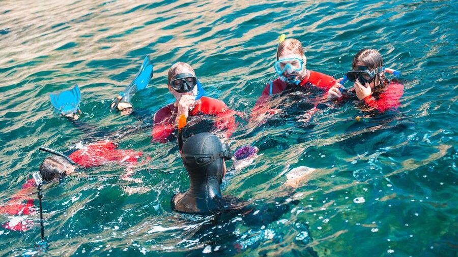 Lisbon: Snorkelling in Sesimbra/Arrábida Natural Park - Who This Trip Is Best For (and Who Might Not Love It)