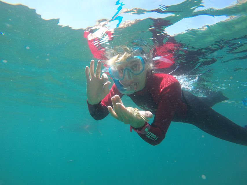 Lisbon: Snorkelling in Sesimbra/Arrábida Natural Park - Why the Sesimbra and Arrábida Coast Snorkel Feels Special