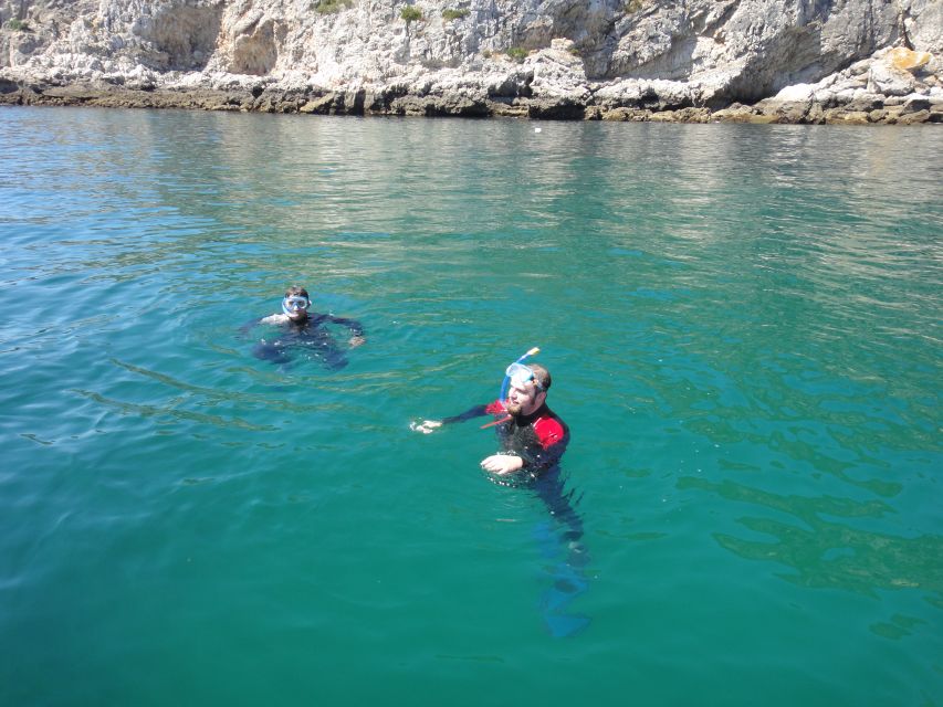 Lisbon: Snorkelling in Sesimbra/Arrábida Natural Park - What You Actually See Underwater in Prof. Luiz Saldanha Marine Park