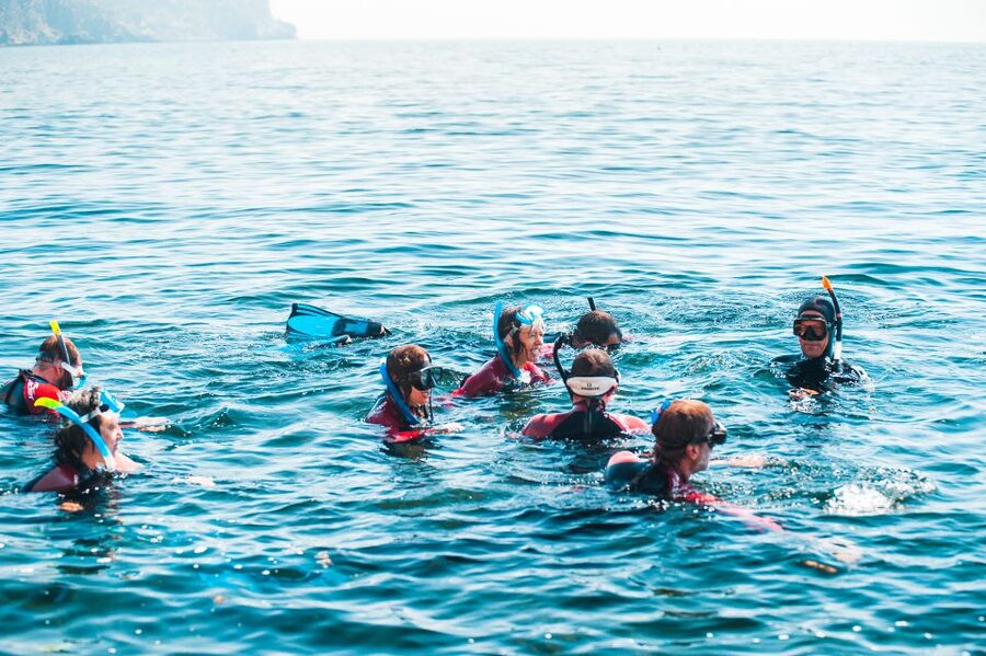 Lisbon: Snorkelling in Sesimbra/Arrábida Natural Park - Pricing and Value: What $70 Per Group Really Buys You
