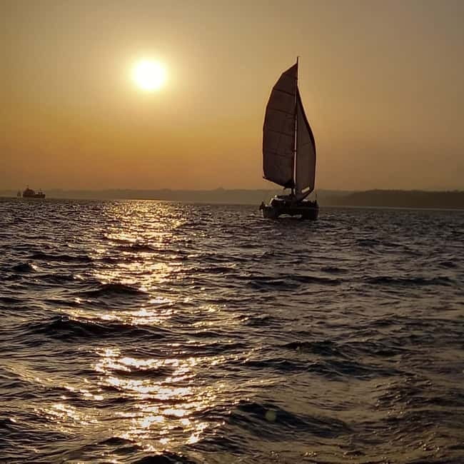 Lisbon: Sunset Catamaran Cruise with Drinks - Who this Lisbon sunset catamaran fits best