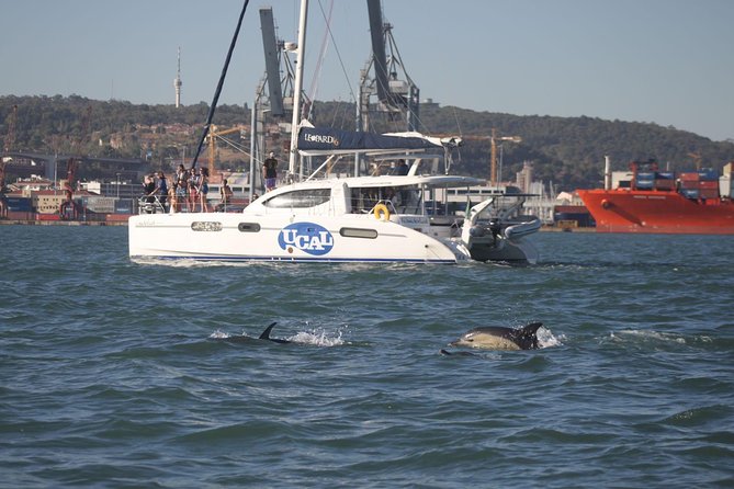 Lisbon: Sunset Cruise With Drinks on Spacious Yacht - My Booking Recommendation: Should You Do This Cruise?