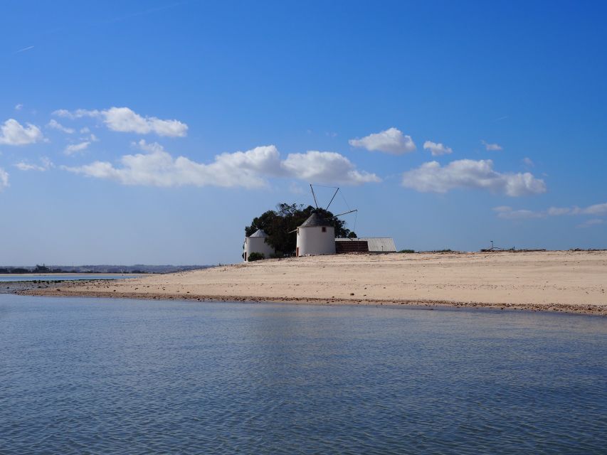 Lisbon: Tagus Estuary Nature Reserve Birdwatching Boat Tour - Key takeaways before you go