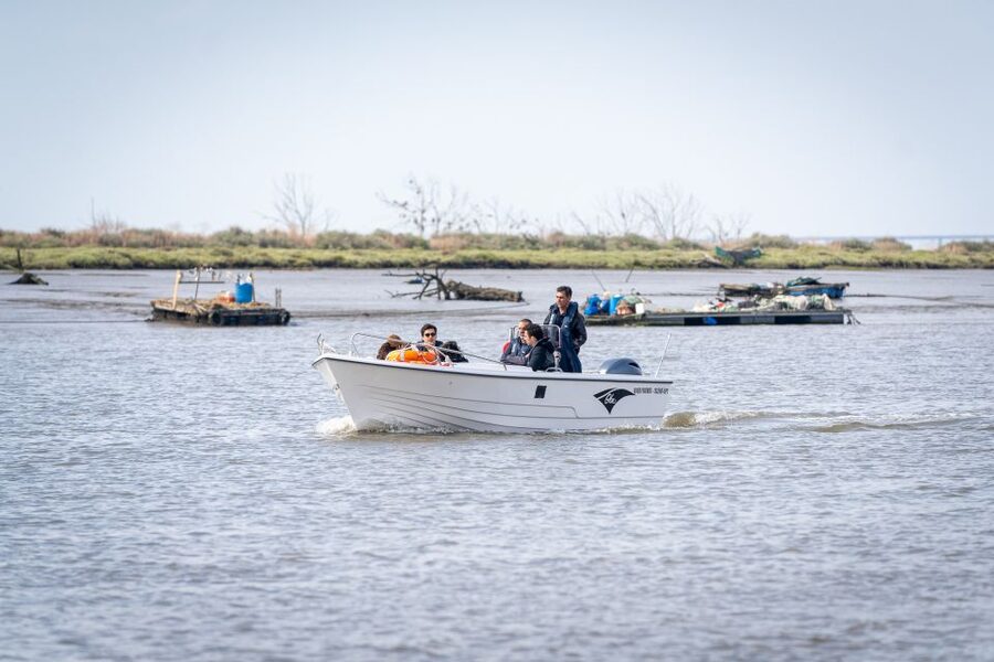 Lisbon: Tagus Estuary Nature Reserve Birdwatching Boat Tour - What $58 includes, and what to bring so the birding clicks
