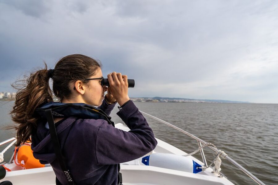 Lisbon: Tagus Estuary Nature Reserve Birdwatching Boat Tour - Best seasons for birds: what the numbers hint at