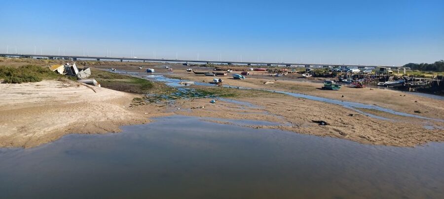 Lisbon: Tagus Estuary Nature Reserve Birdwatching Boat Tour - Who this Lisbon tour is perfect for, and who should reconsider