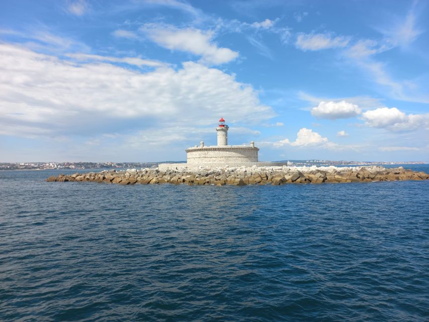 Lisbon: Tagus River Cruise to the Ocean & Dolphin Watching - Open bar setup: what you get, and how to plan your comfort