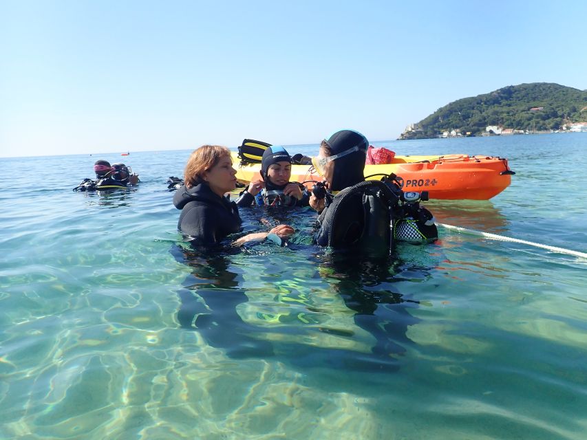 Lisbon: Try Dive in Arrábida Marine Reserve Setubal Sesimbra - Key things that make this Arrábida scuba session worth it