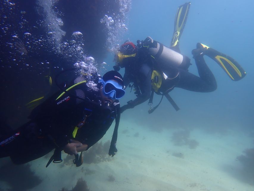 Lisbon: Try Dive in Arrábida Marine Reserve Setubal Sesimbra - The adaptation session: where first-timers either relax or quit