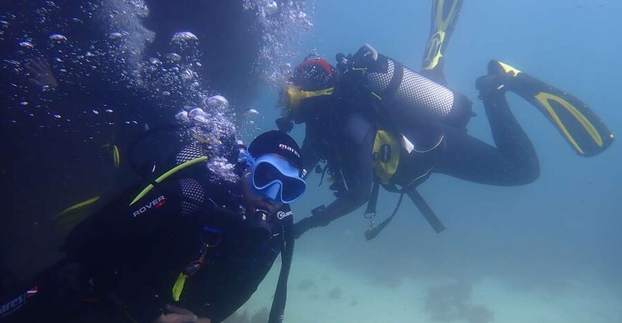 Lisbon: Try Dive in Arrábida Marine Reserve Setubal Sesimbra - A guided underwater session focused on real seabed life