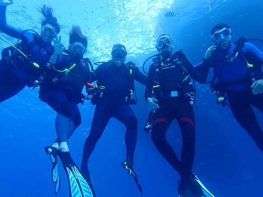 Lisbon: Try Dive in Arrábida Marine Reserve Setubal Sesimbra - Getting fitted and learning the gear basics, without rushing