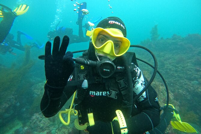 Lisbon: Try Scuba Diving in Arrabida Marine Reserve with photos - The boat tour piece: why it’s part of the real experience