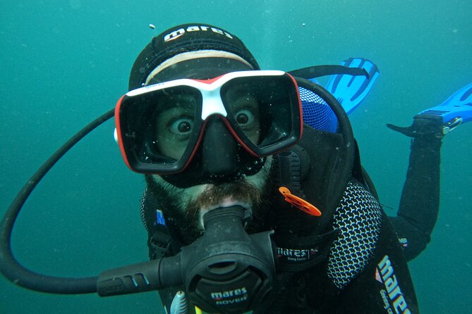 Lisbon: Try Scuba Diving in Arrabida Marine Reserve with photos - SSI credit in 6 months: turning a try session into real training