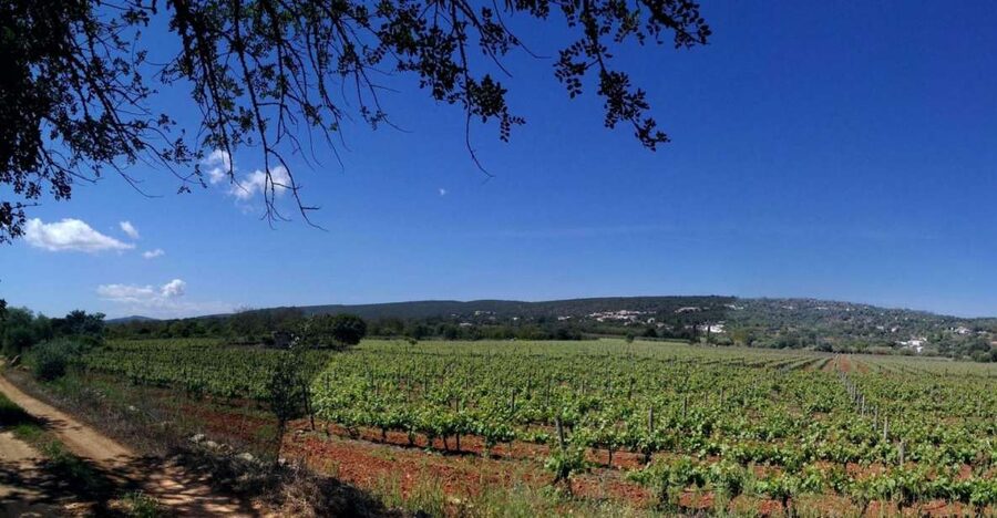 Loulé: Quinta da Tôr Winery Guided Tour and Wine Tasting - Quinta da Tôr in Loulé, in 60 seconds