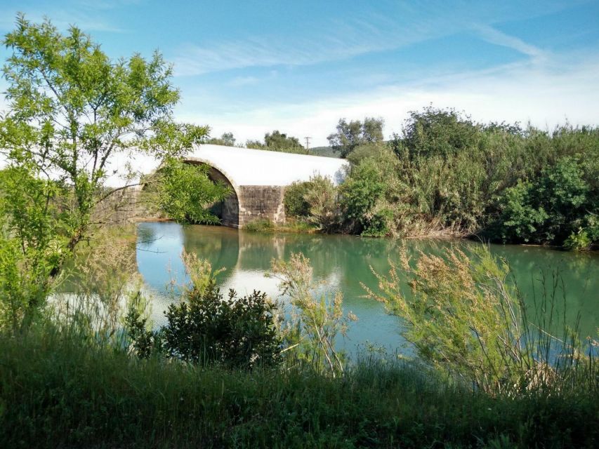 Loulé: Quinta da Tôr Winery Guided Tour and Wine Tasting - Infinity pool time: the Algarve break you did not plan for