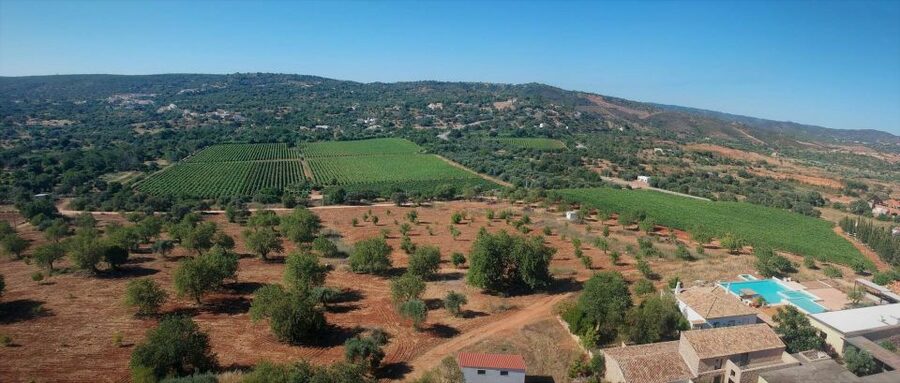 Loulé: Quinta da Tôr Winery Guided Tour and Wine Tasting - Who should book this Loulé winery tour