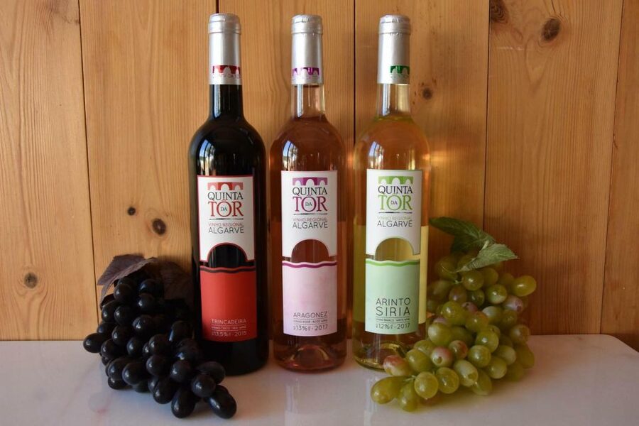 Loulé: Quinta da Tôr Winery Guided Tour and Wine Tasting - The 30-minute guided winery tour: what you learn before you sip