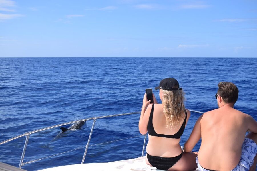 Madeira: 2.5-Hour Whale and Dolphin-Watching Cruise - Who should book this cruise, and who should skip it