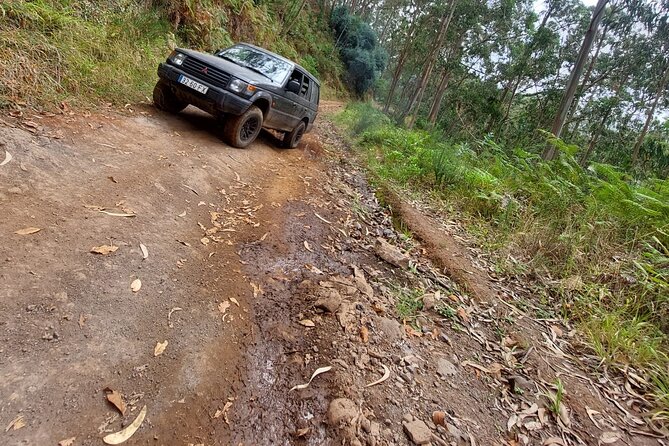 Madeira 4x4 Jeep Safari : Porto Moniz, Lava Pools & Fanal Forest - Cabo Girão at 580 meters: when the skywalk is worth extra money
